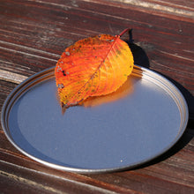 Load image into Gallery viewer, EverMulTidish Titanium Lid / Dish EBY280