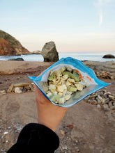 Load image into Gallery viewer, Bushka's Kitchen Citrus Chia Morning Bowl 1-Serving Freeze Dried Food Pouch