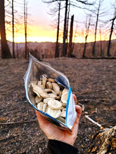 Load image into Gallery viewer, Bushka's Kitchen Organic Banana Bites 3-Servings Freeze Dried Food Pouch