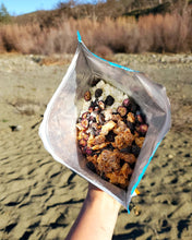 Load image into Gallery viewer, Bushka's Kitchen Yogurt Bowl w/Blueberries & Granola 1-Serve Freeze Dried Pouch