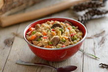 Load image into Gallery viewer, Mountain House Chicken Fried Rice