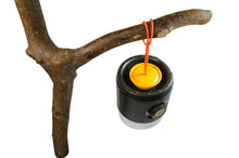 Load image into Gallery viewer, UCO Rhody+ Li-Ion Rechargeable LED Lantern ML-RHODY-LI