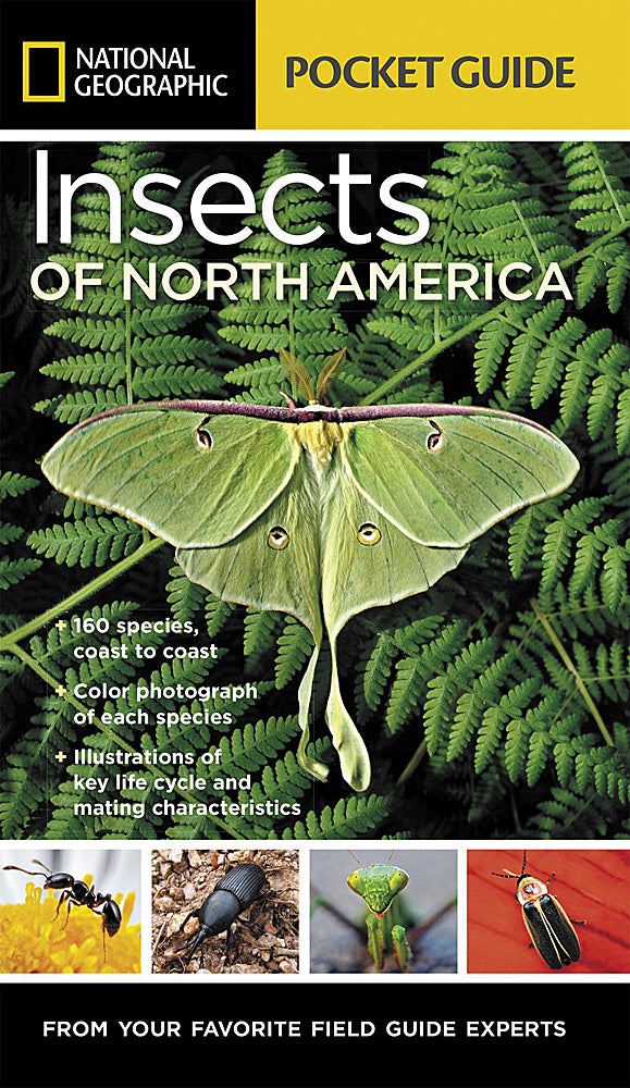 National Geographic Pocket Guide to Insects of North America Book BK26216473