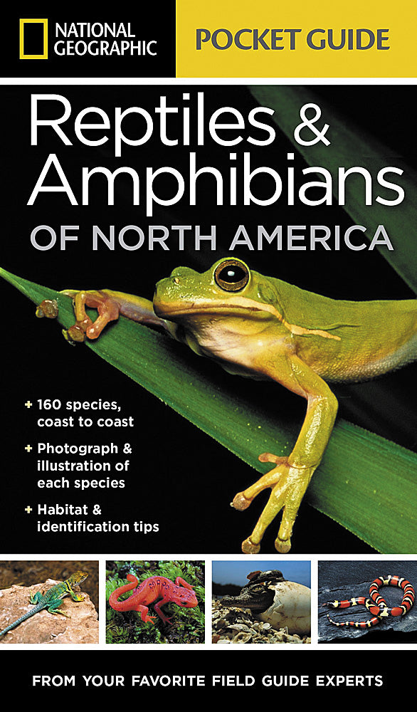 National Geographic Pocket Guide to Reptiles & Amphibians of North America Book BK26214769