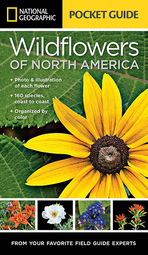 National Geographic Pocket Guide to Wildflowers of North America Book BK26212819