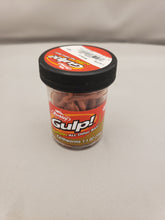 Load image into Gallery viewer, Berkley Fishing Gulp! Brown Earthworms 1.1 oz jar
