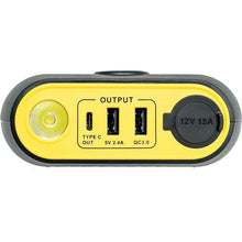 Load image into Gallery viewer, Lion Energy Lion Cub Go Portable Power Battery Pack
