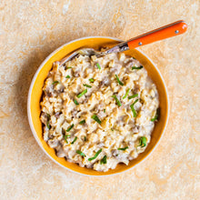 Load image into Gallery viewer, Mountain House Classic Beef Stroganoff w/Noodles 54119
