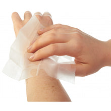 Load image into Gallery viewer, Ben&#39;s 30% DEET Wilderness Repellent Wipes 12-Pack 0006-7085
